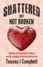 Shattered But Not Broken - Preview