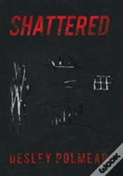 Capa do artigo Shattered