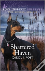 Capa do artigo Shattered Haven