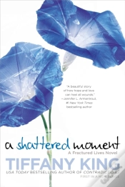 Capa do artigo Shattered Moment
