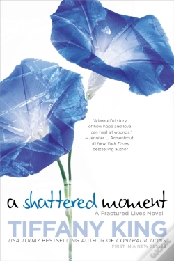 Capa do artigo Shattered Moment