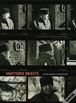 Capa do artigo Shattered Objects