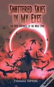 Capa do artigo Shattered Skies In My Eyes