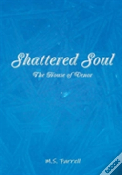 Capa do artigo Shattered Soul