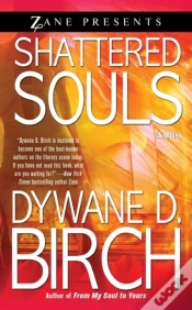 Capa do artigo Shattered Souls