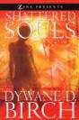 SHATTERED SOULS - Preview