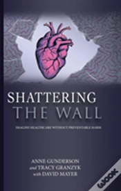 Capa do artigo Shattering The Wall