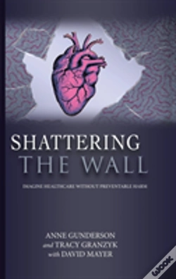 Capa do artigo Shattering The Wall