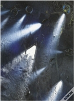 Capa do artigo Shaun Gladwell