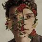 Shawn Mendes - CD - Preview