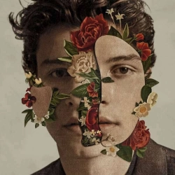 Capa do artigo Shawn Mendes - CD