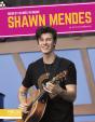 Shawn Mendes - Preview
