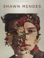 Shawn Mendes - Preview