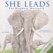 Capa do artigo She Leads