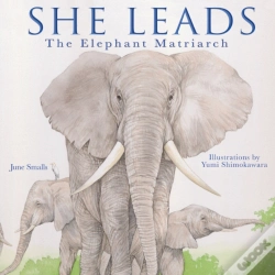 Capa do artigo She Leads