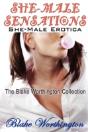 She-Male Sensations - Preview