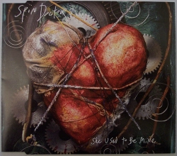 Capa do artigo She Used To Be Mine - CD