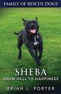 Sheba - From Hell To Happiness - Preview