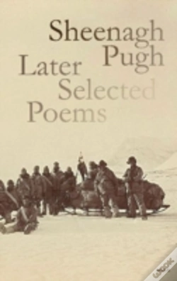Capa do artigo Sheenagh Pugh