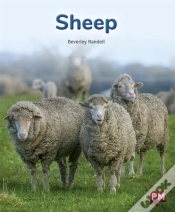Capa do artigo Sheep
