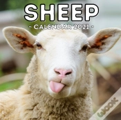 Capa do artigo Sheep Calendar 2021