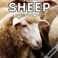 Sheep Calendar 2022