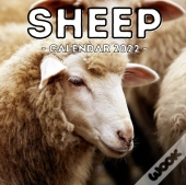 Sheep Calendar 2022