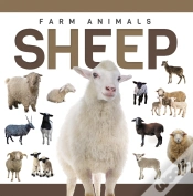 Capa do artigo Sheep
