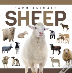 Capa do artigo Sheep