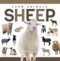 Sheep - Preview