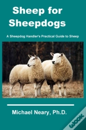 Capa do artigo Sheep For Sheepdogs