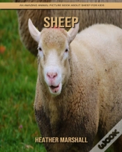Capa do artigo Sheep