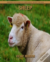 Capa do artigo Sheep