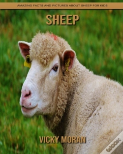 Capa do artigo Sheep