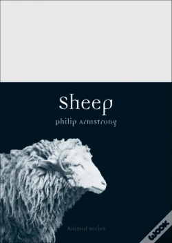 Capa do artigo Sheep