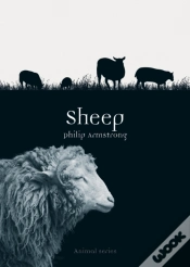Capa do artigo Sheep