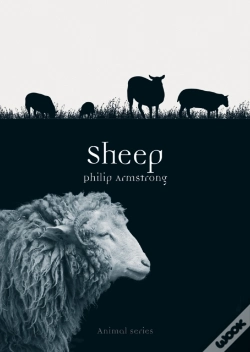 Capa do artigo Sheep