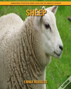 Capa do artigo Sheep