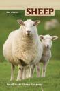 Sheep - Preview