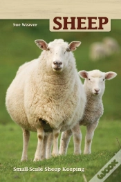 Capa do artigo Sheep