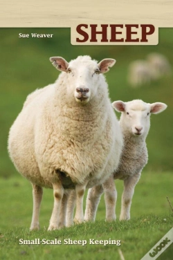 Capa do artigo Sheep