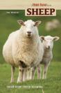 Sheep - Preview