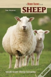 Capa do artigo Sheep