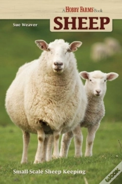 Capa do artigo Sheep
