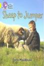 Sheep To Jumper - Preview