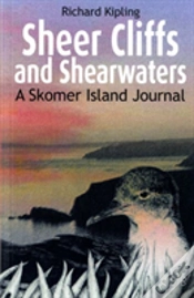Capa do artigo Sheer Cliffs And Shearwaters