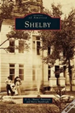 Capa do artigo Shelby