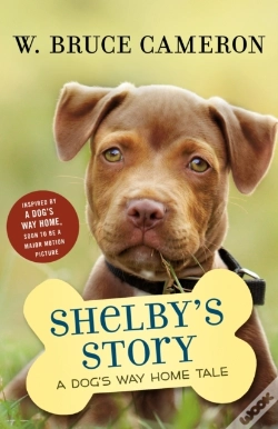 Capa do artigo Shelby'S Story
