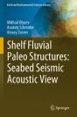Shelf Fluvial Paleo Structures: Seabed Seismic Acoustic View - Preview