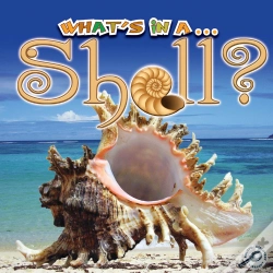 Capa do artigo Shell?